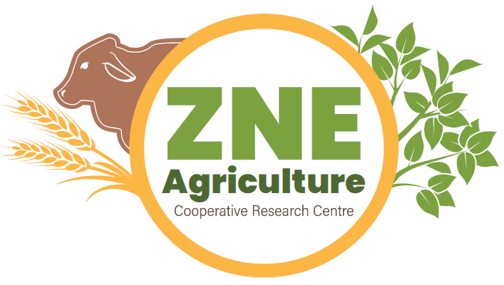 ZNEAg-CRC logo (1)