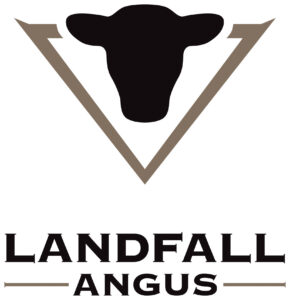 Landfall (Gold)
