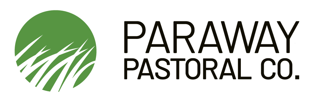 Paraway (Bronze)