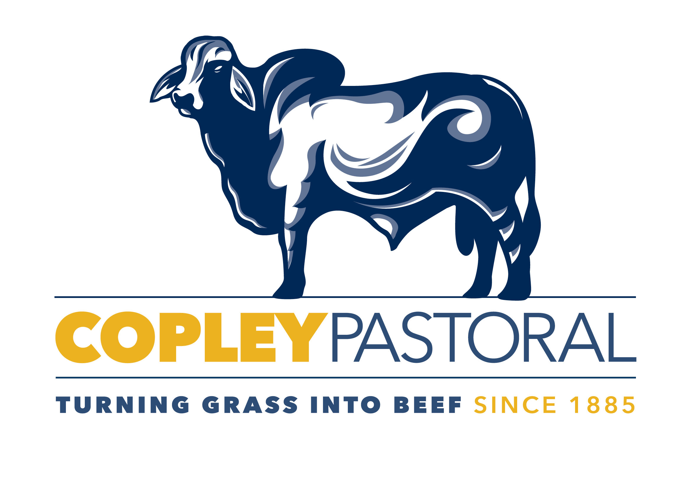 copley_logo (1)